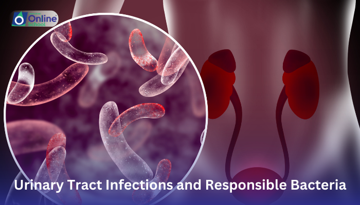 Lesson 16: Urinary Tract Infections and Responsible Bacteria